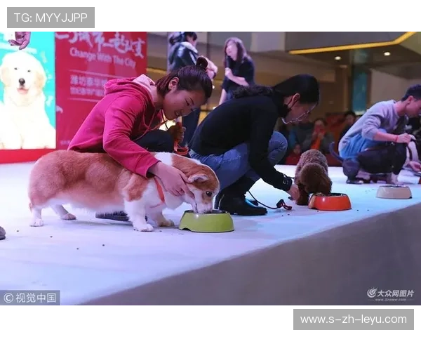 世界冠军与狗狗一起训练萌翻 世界冠军与狗狗一起训练萌翻